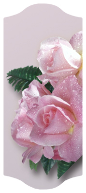 DARAY-C-063 Bouquet Of Roses Orchid